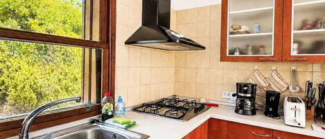 Una cocina moderna con estufa a gas, pileta de acero inoxidable, muebles de madera y ventana con vista a la vegetación.