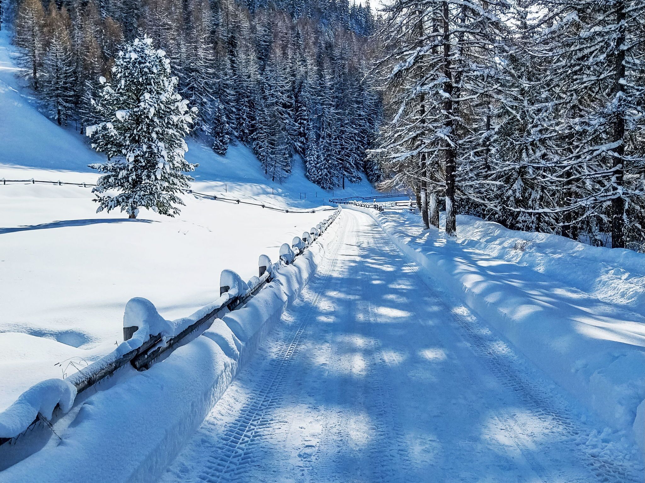 Una carretera cubierta de nieve bordeada por árboles y una valla de madera.