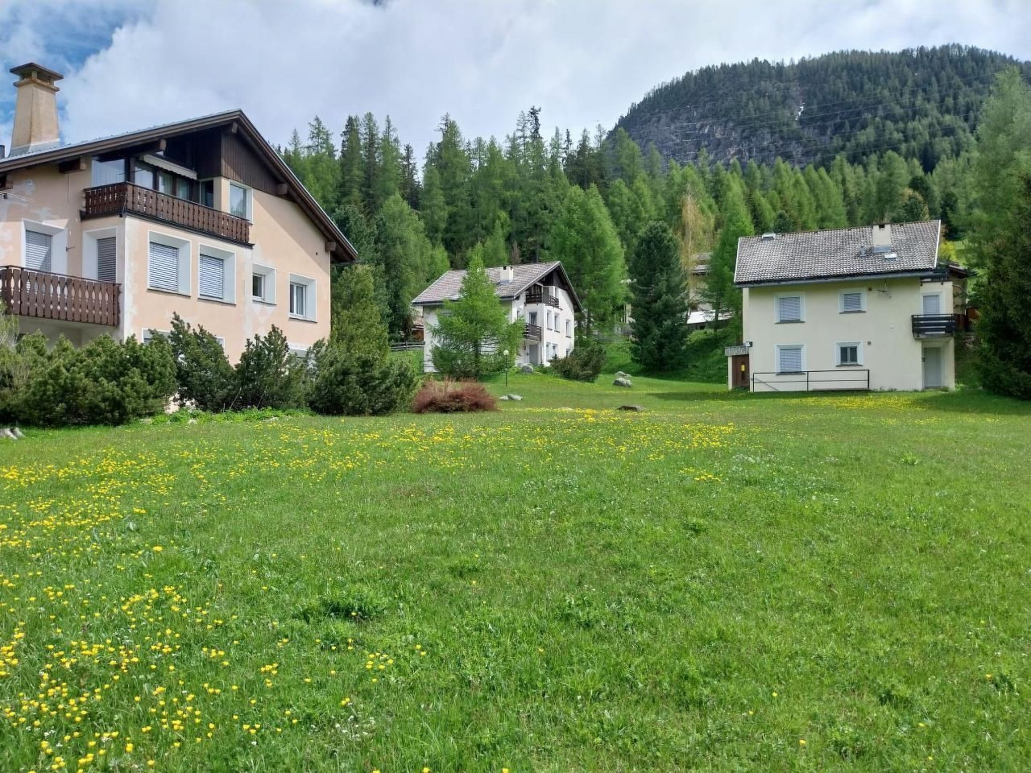 Esterni