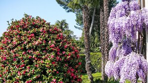 Un jardín con diversas especies de árboles y arbustos florecientes.