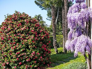 A garden with a variety of flowering trees and shrubs. - Casa Adelizia by Interhome (Ascona)