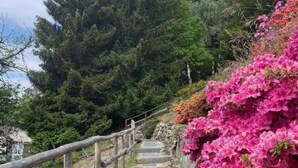 施設の敷地