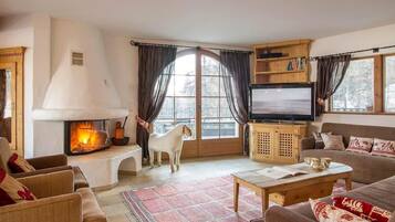 Fernseher, Kamin, DVD-Player