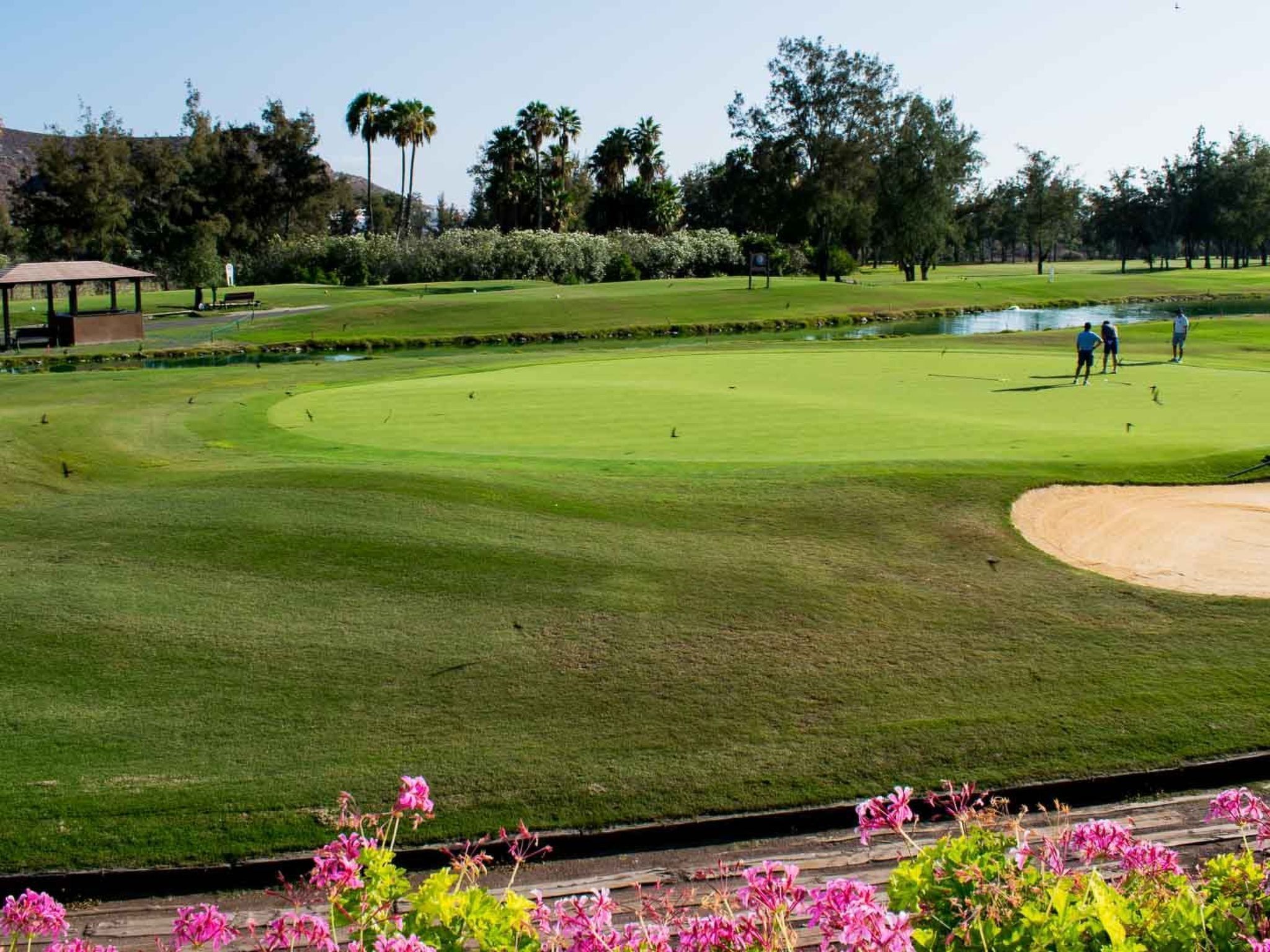 Golf