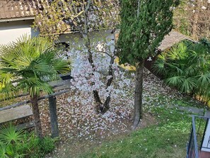 Property grounds - Aranciarosa by Interhome (Caviano)
