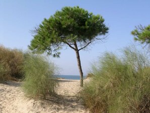 Beach - Villa "Los Arcos" mit privatem Garten und Terrasse by Interhome (Lepe)