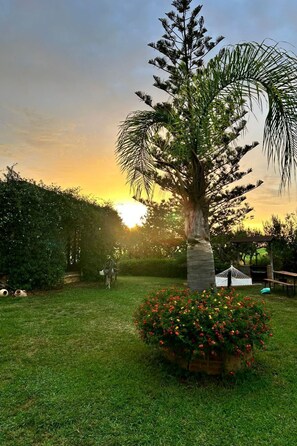 Property grounds - Entspannung, Meer, Natur, Kultur by Interhome (Partinico)