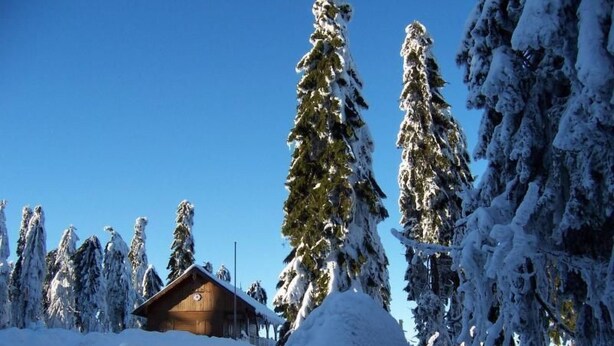 Una cabaña de madera rodeada de árboles cubiertos de nieve.