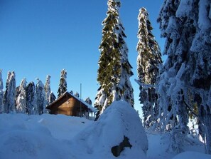 A wooden cabin surrounded by snow-covered trees. - am Weißenstädter See by Interhome (Weißenstadt)
