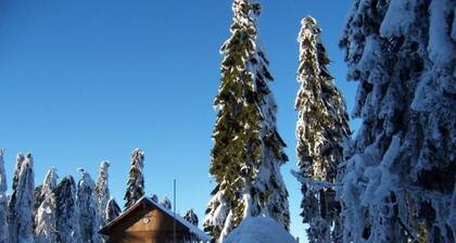 am Weißenstädter See by Interhome
