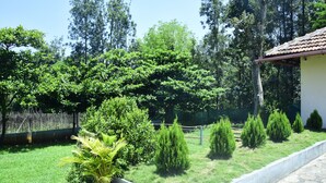 A well-maintained garden with various shrubs and a potted plant. - Misty Green (Chikkamagaluru)