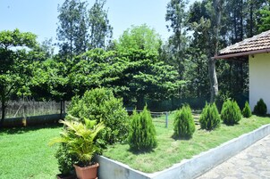 Un jardín bien cuidado con arbustos diversos y una planta en maceta.