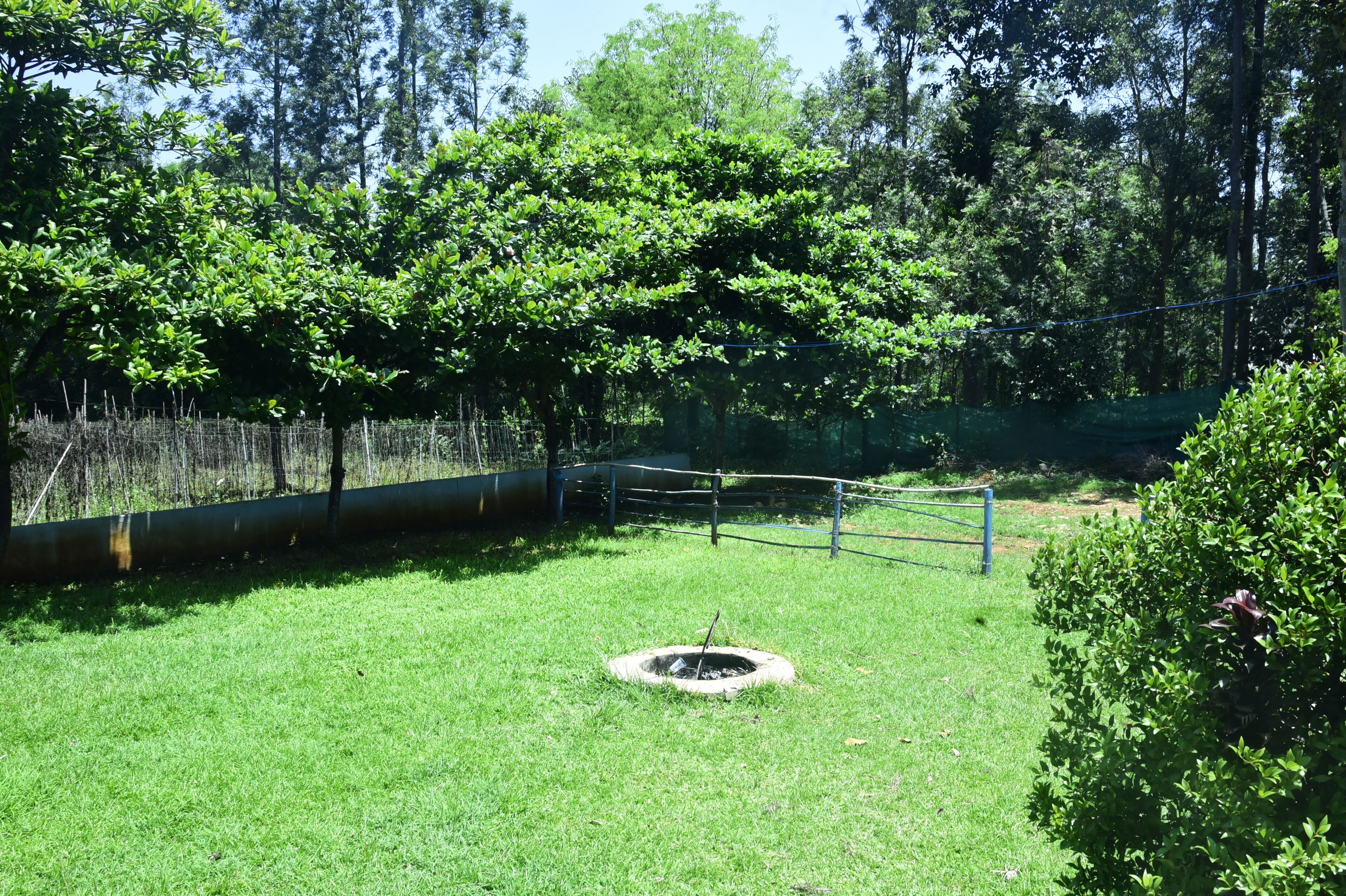 Un área cubierta de césped con un hogar circular, rodeado por una valla y árboles.