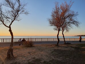 Property grounds - I Granai - Apartment 8 - Farmhouse Bella Valle (Toscana)