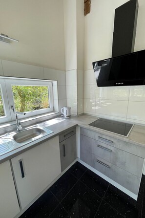 Fridge, microwave, oven, dishwasher - Haus Sabine by Interhome (Hasel)