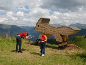 Children’s area - Ferienwohnungen Hohl by Interhome (Irdning - Donnersbachtal)