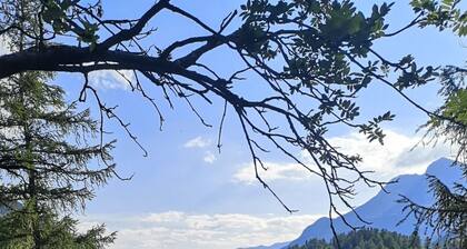 Studio Chesa Marias by Interhome