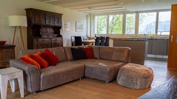 Télévision, cheminée, lecteur de DVD