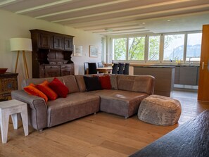 Télévision, cheminée, lecteur de DVD