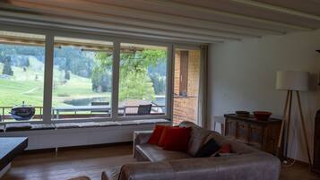 Télévision, cheminée, lecteur de DVD