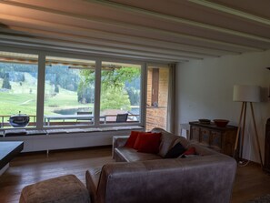 Télévision, cheminée, lecteur de DVD