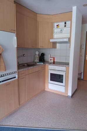 Fridge, oven, dishwasher, cookware/dishes/utensils - Studio Friedegg by Interhome (Wildhaus)