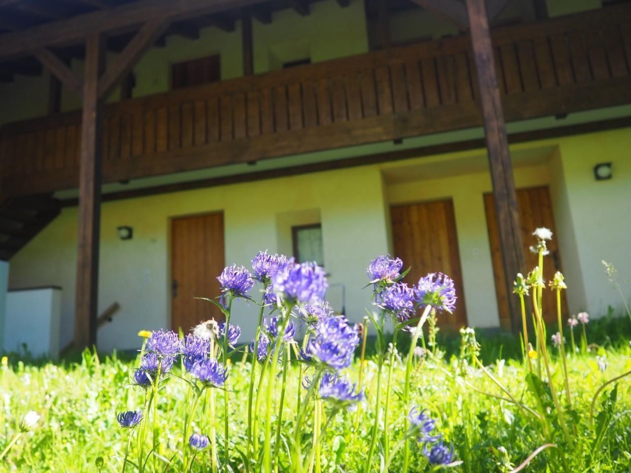 المنطقة المحيطة بالمنشأة