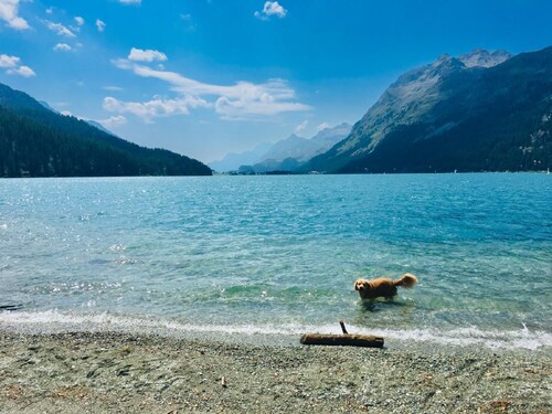 Maisonette Alpenrose by Interhome