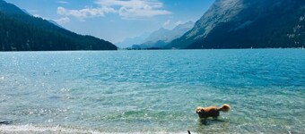 Maisonette Alpenrose by Interhome