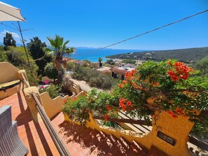 Terras