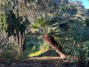 Property grounds - Exklusiv Ferienhaus Elba mit Panorama und Garten by Interhome (Porto Azzurro)