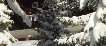 Abigrot by Interhome