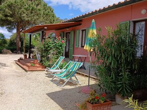 Terrace/patio - Apartment  by Interhome (Capoliveri)