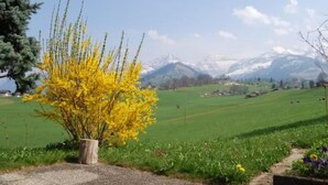 A rural landscape with a yellow flowering tree in the foreground, a green field, and snow-capped mountains in the background. - Chalet Alouette by Interhome (Aeschi bei Spiez)