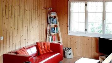 Una televisión, una chimenea, un reproductor de DVD