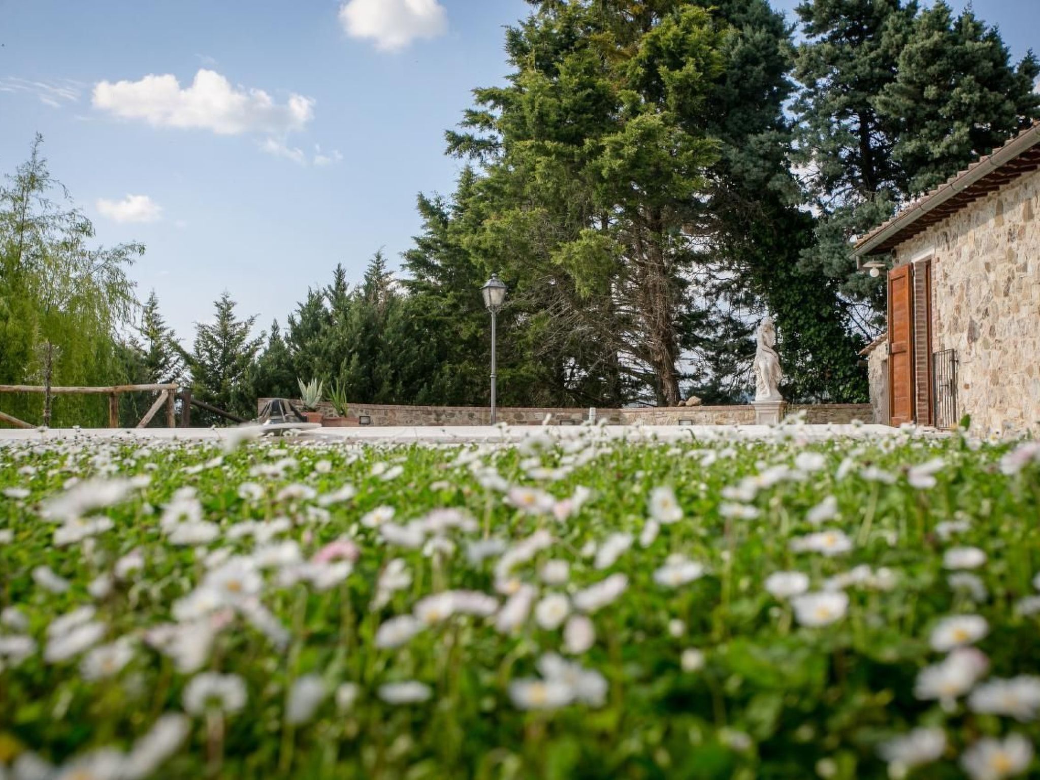 Parco della struttura