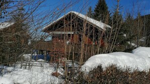 Een rustieke hut met een met sneeuw bedekte dak, omgeven door kale bomen en een helderblauwe lucht.
