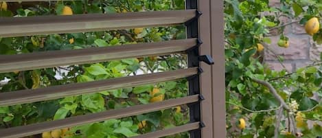 DĂ©tail de lâextĂ©rieur