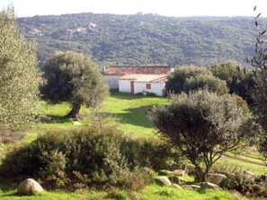 Property grounds - Stazzo mit Garten in Luogosanto by Interhome (Bassacutena)