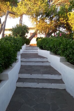 Área da propriedade