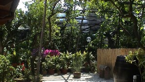Property grounds - Monolocale ROSA by Interhome (Sorrento)