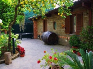 Property grounds - Appartamento  GIGLIO by Interhome (Sorrento)