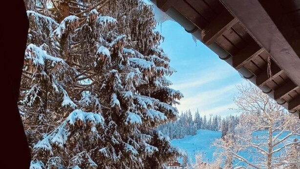 A snowy landscape with a wooden deck overlooking a snow-covered area and trees. - Chalet Bacchus (EG) by Interhome (Sörenberg)