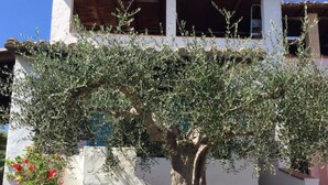 Unclassified image, 4 of 23, button - Arcaidu Apartment mit bezaubernder Aussicht by Interhome (Perd 'e Sali)