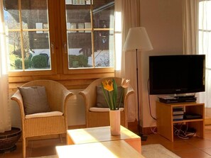Fernseher, Kamin, DVD-Player