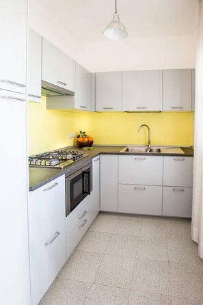 Réfrigérateur, micro-ondes, batterie de cuisine, vaisselle et ustensiles