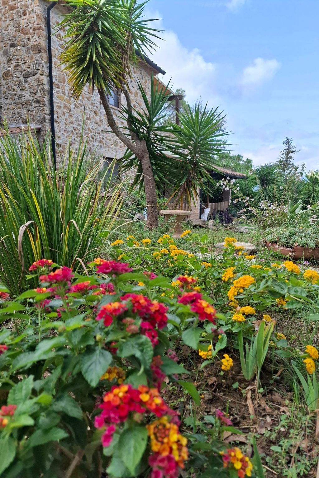 Área da propriedade