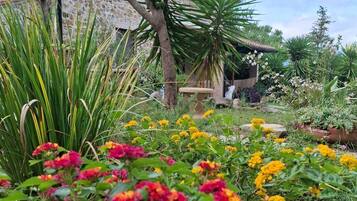 Área da propriedade