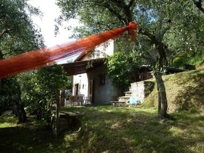 Property grounds - Rustico inmitten eines Olivenhainens by Interhome (Camaiore)
