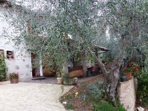 Property grounds - Rustico inmitten eines Olivenhainens by Interhome (Camaiore)
